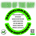 Dandelion Root (Organic)